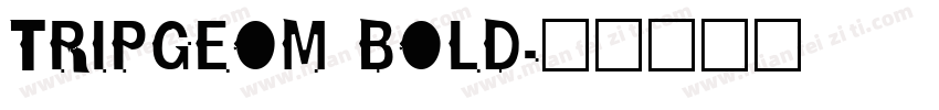 TRIPGEOM BOLD字体转换